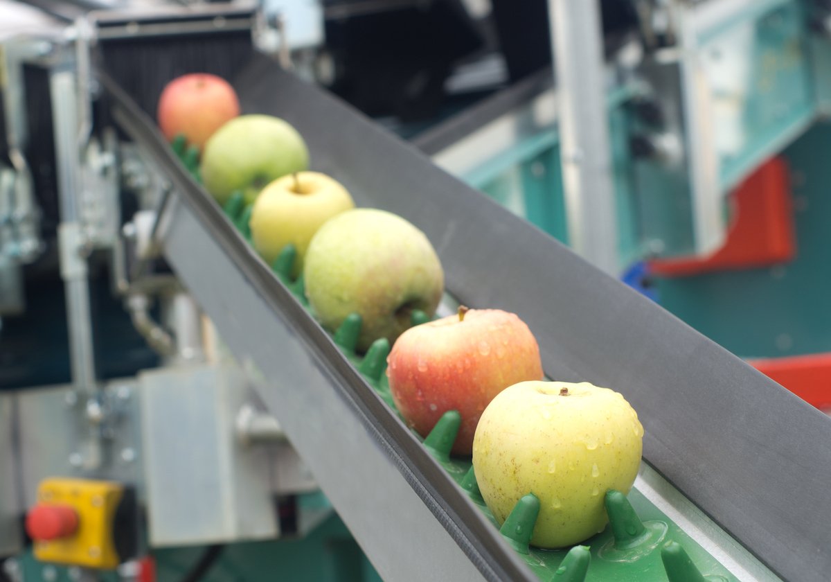 food_beverage_apples_factory