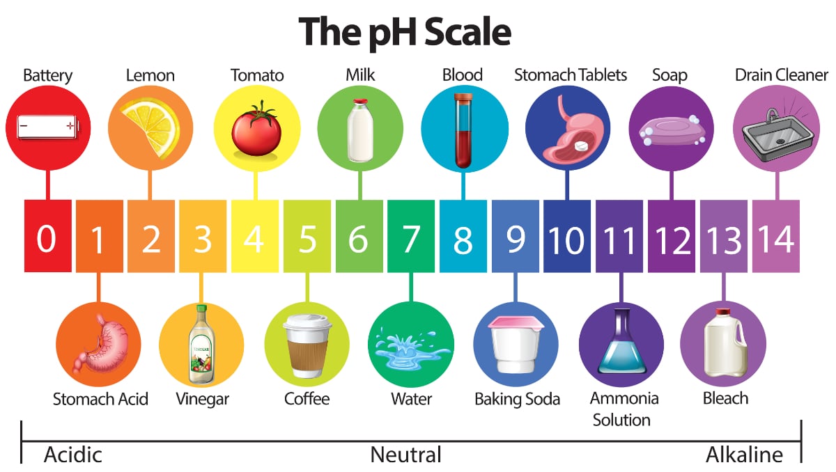 Water Quality 101: What Is pH in Water Testing?